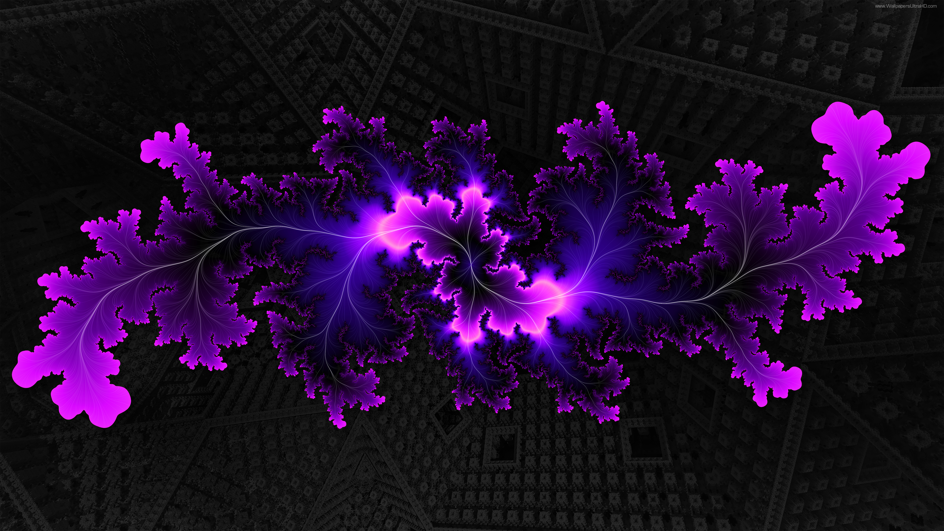 Fractal design picture